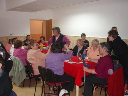 Setkání důchodců 2011